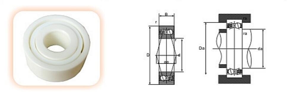 Double row angular contact ball bearings