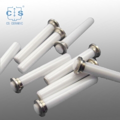 Customize High Purity Alumina Ceramic Plunger Parts