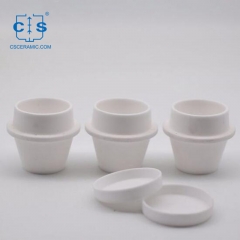  LECO TGA Crucible