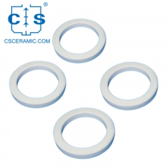 ZTA Ceramic Rings