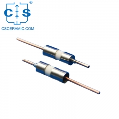 Ceramic Vacuum Electrode